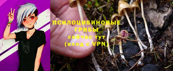 jwh Верея