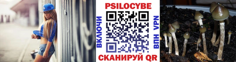 где купить   маркетплейс как зайти  Галлюциногенные грибы Magic Shrooms  Нальчик 